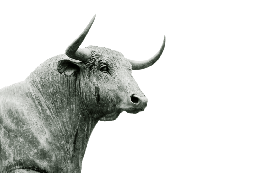 Durham Bull